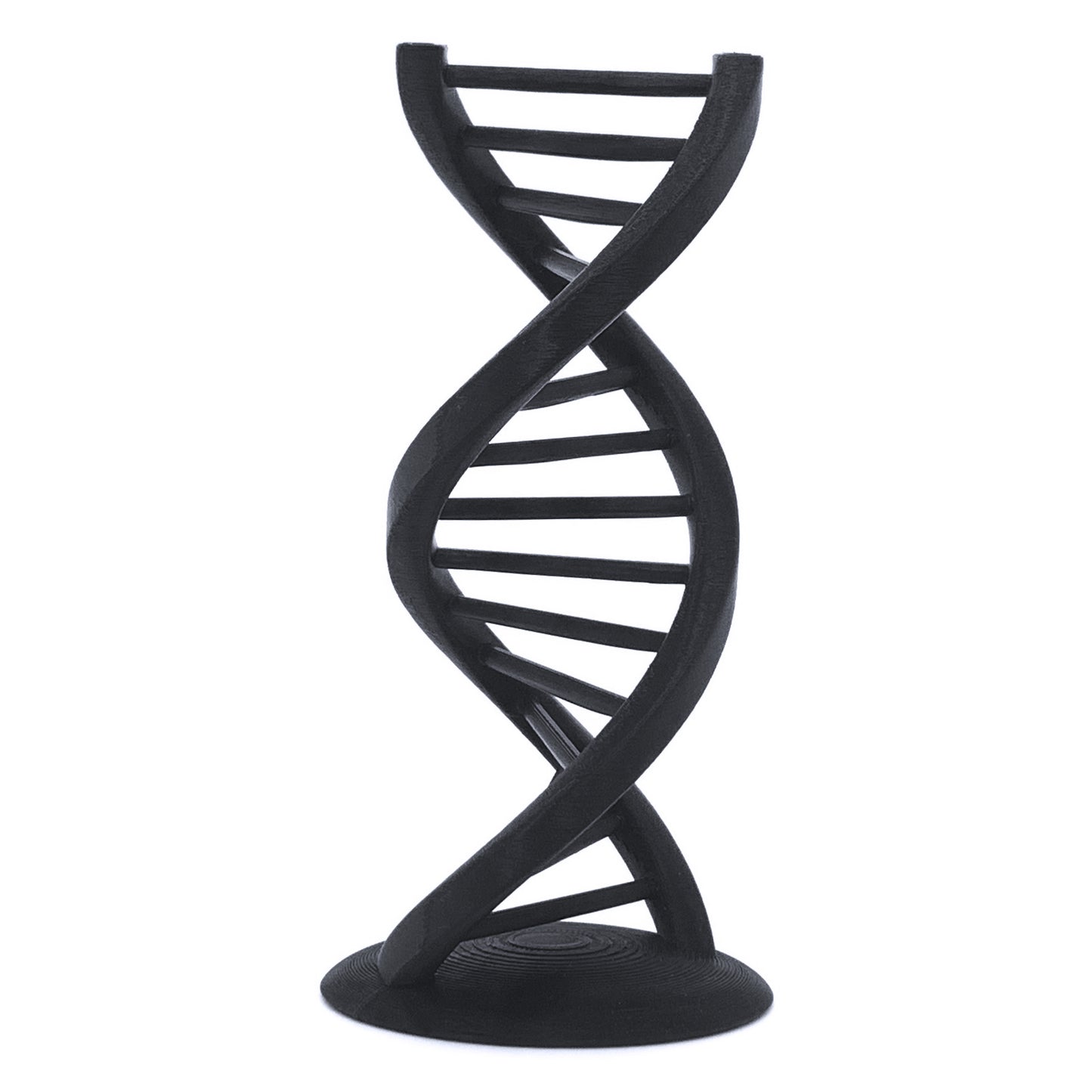 DNA Double Helix