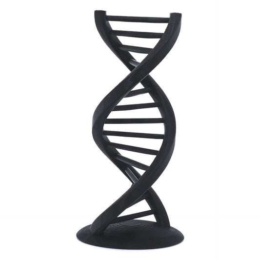 DNA Double Helix